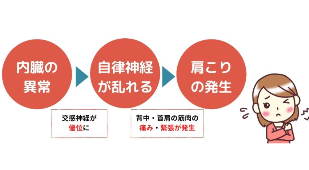 北浦和で肩こりの改善におすすめの整体院-北浦和の肩こりについて‐画像26